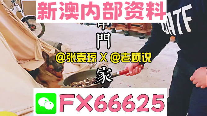 新澳门精准资料大全管家婆料,详细数据解释定义_Max42.58